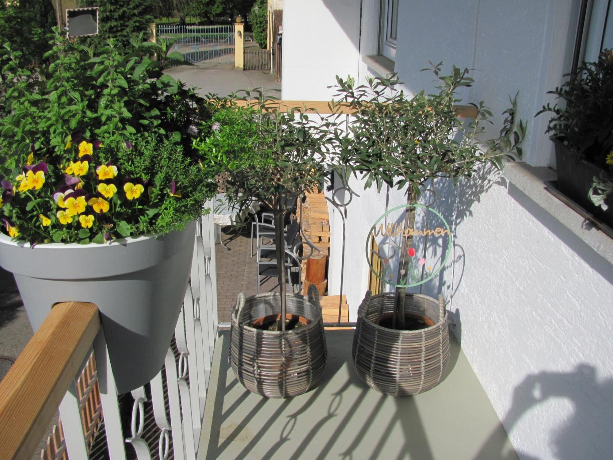 #1Gemuetliches Ruhiges Sonniges Balkonzimmer Mit Gemeinschaftsbad W-Lan Airport Nah Late Night Check In Haus Nr 9,5 Trunkelsberg Extérieur photo
